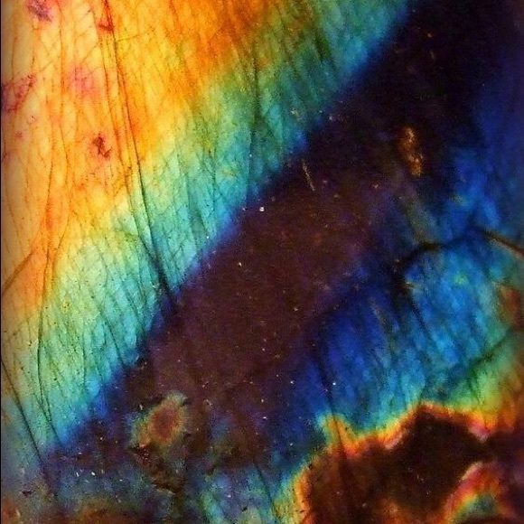 Meet your Posher, Allie - Picture 1 of 1